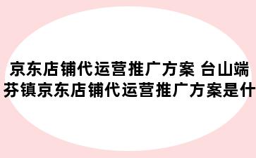 京东店铺代运营推广方案 台山端芬镇京东店铺代运营推广方案是什么